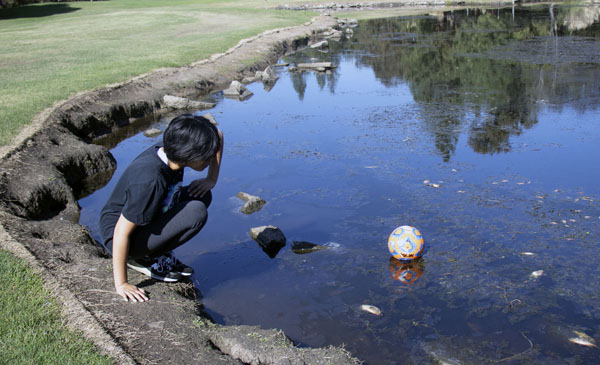 Opinion Editor Vivienne Aguilar retrieves her ball after kicking it into the pond.