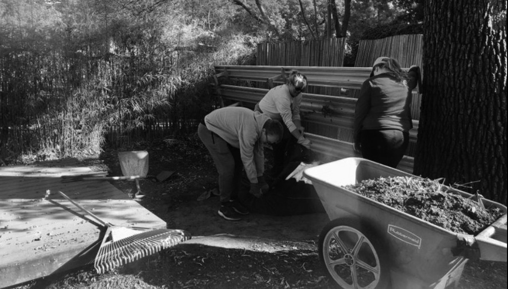 Leadership Stockton works on demolition for their Micke Grove Revitalization project