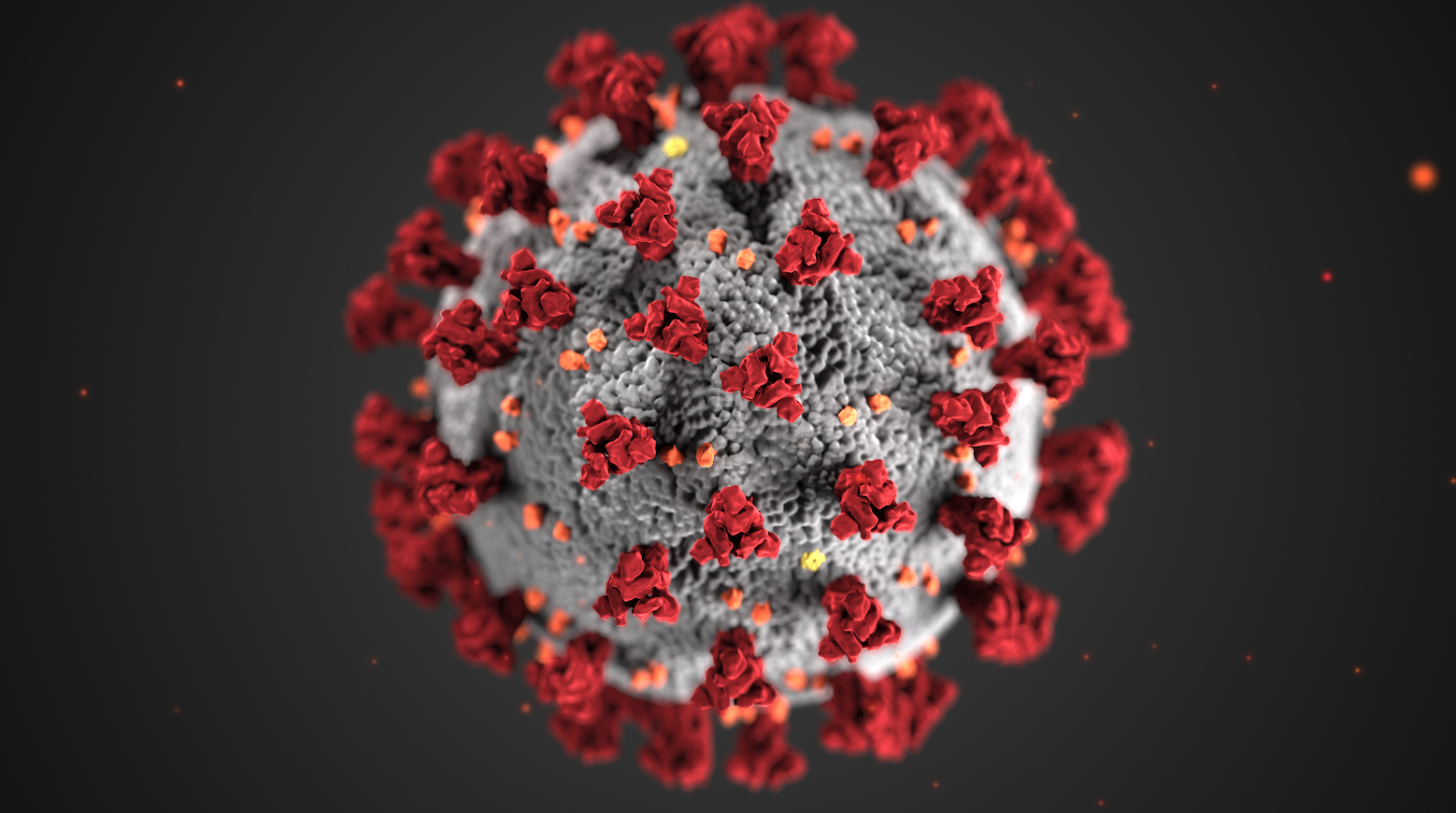 Decorative artistic render of the COVID-19 virus