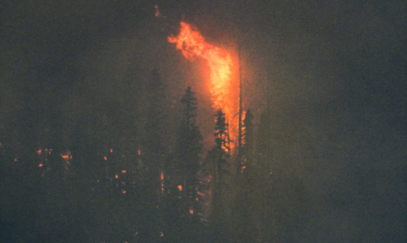 Trees on fire in Yosemite