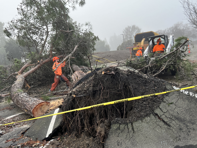 Two weeks of winter storms left damage across campus