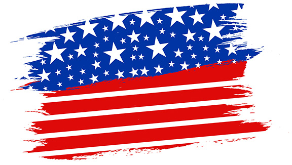 Election coverage decorative item