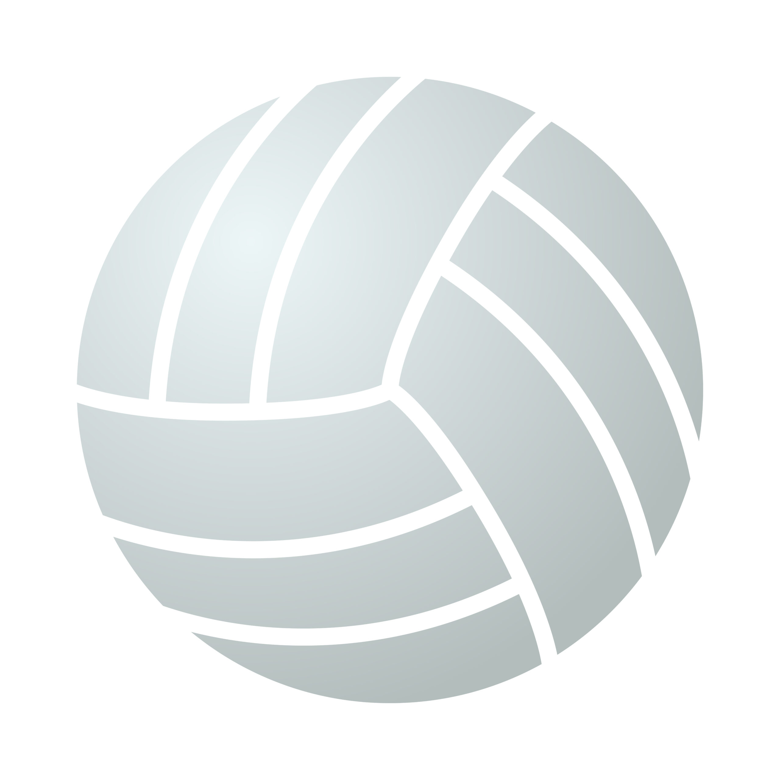 Volleyball decorative image