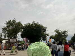 An iconic part of the Asparagus Festival is the tasty treats. PHOTO BY JEWELS ESTRADA