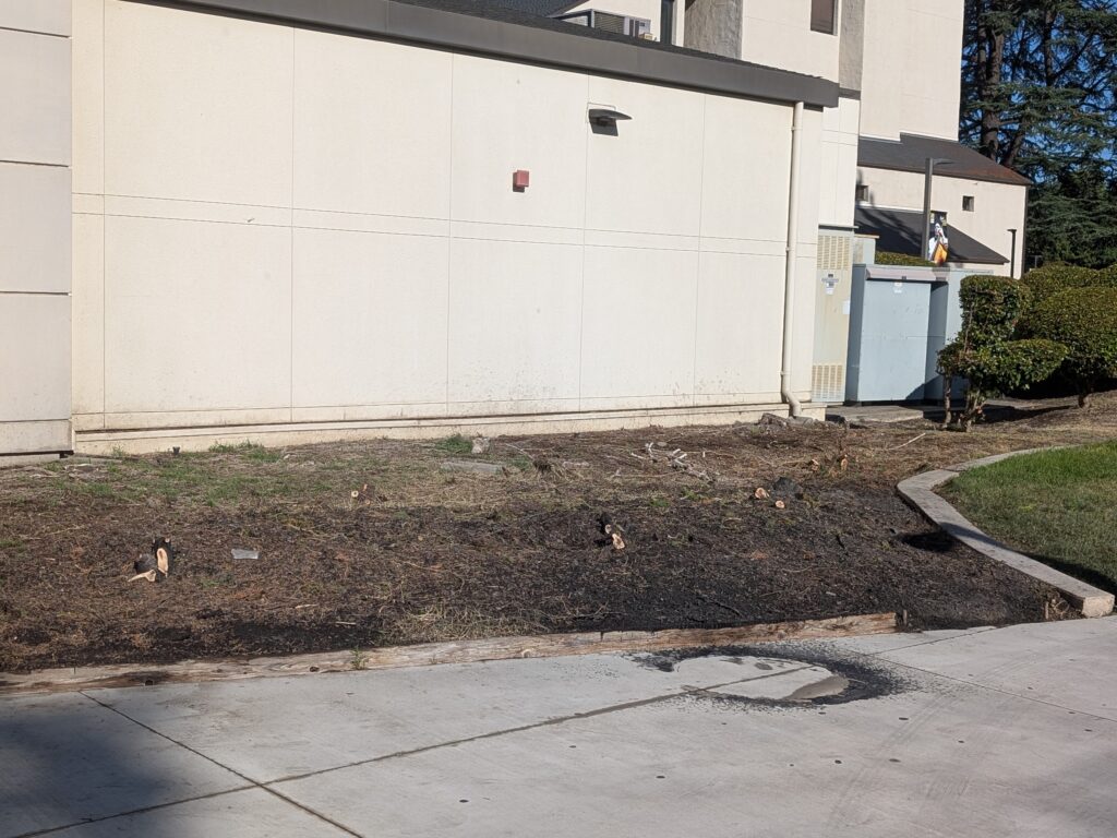 Image shows a ring associated with the fire outside the Electron Microscopy building.